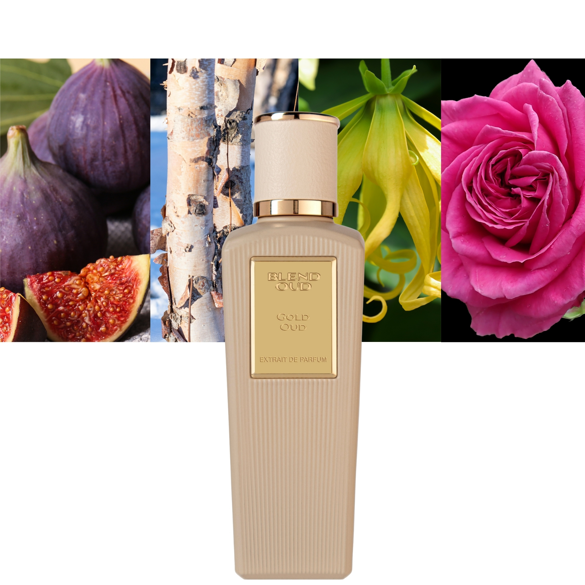 Blend Oud Gold Oud