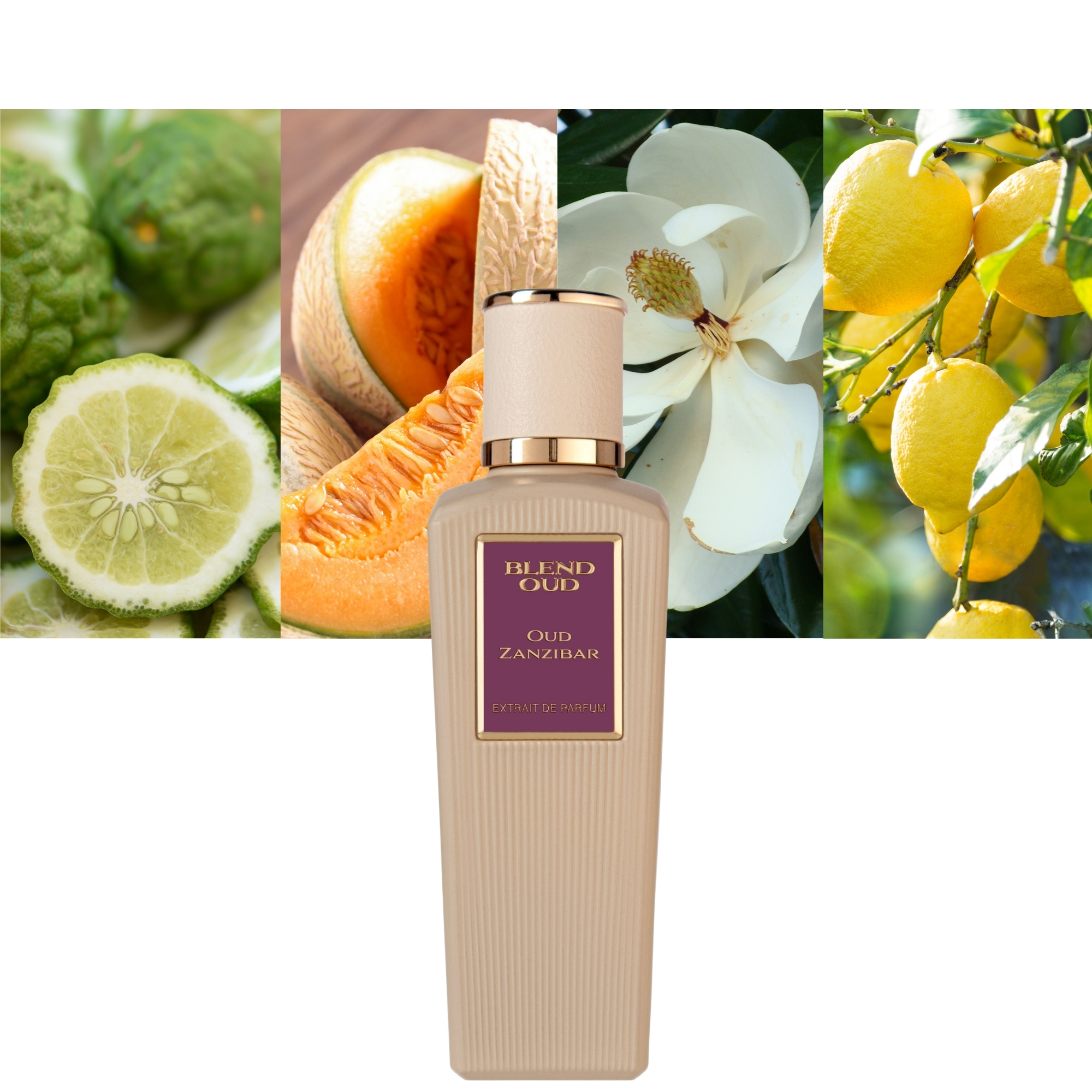 Blend Oud Oud Zanzibar