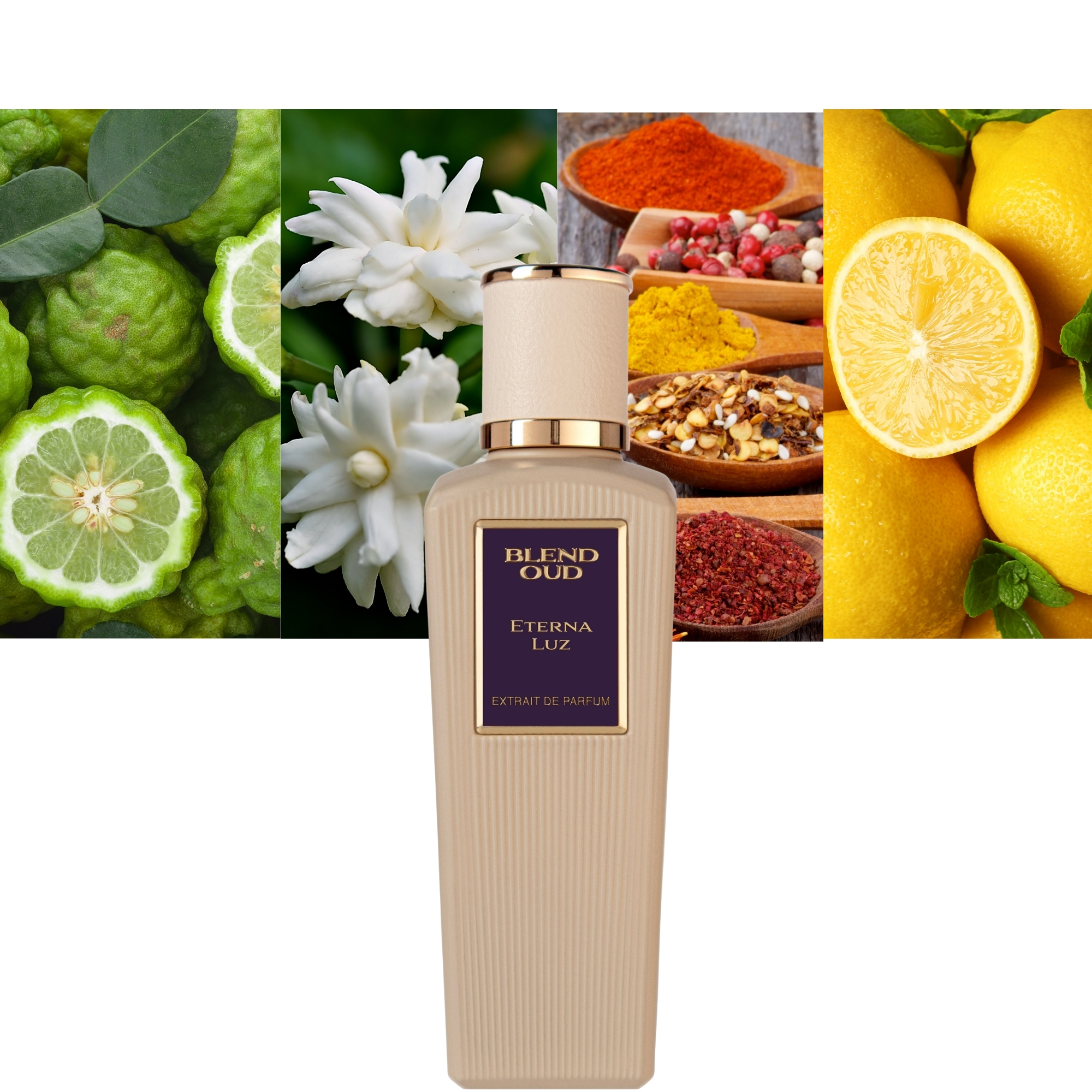 Blend Oud Eterna Luz