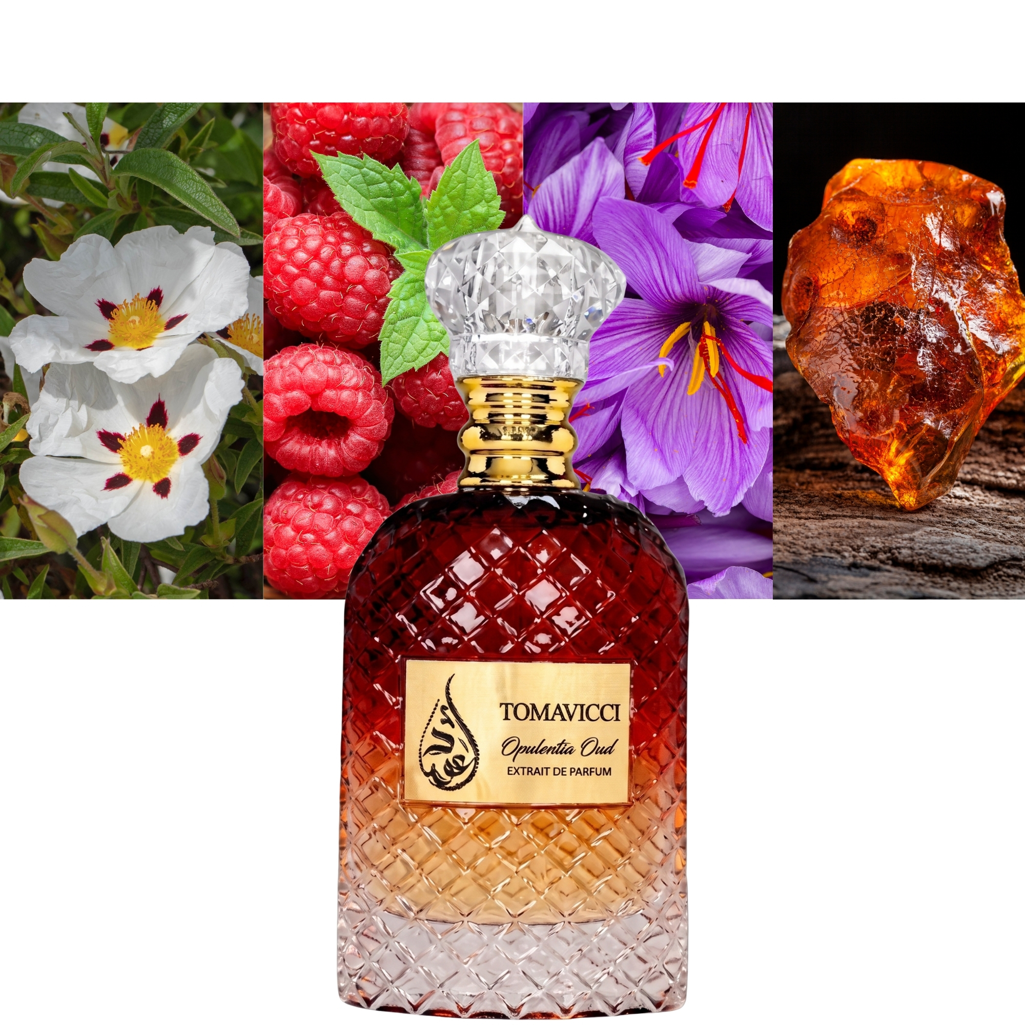 Tomavicci Opulentia Oud