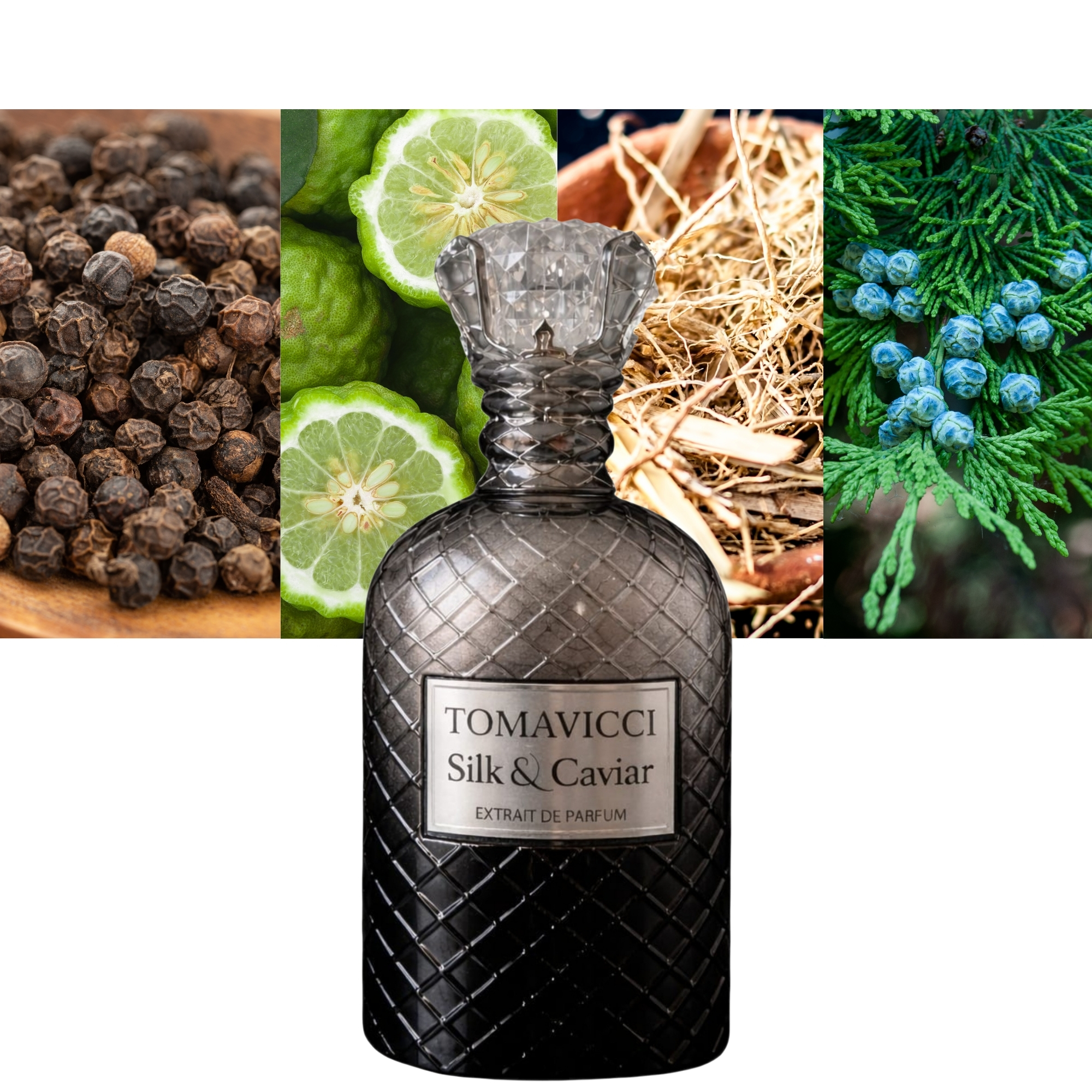 Tomavicci Silk and Caviar