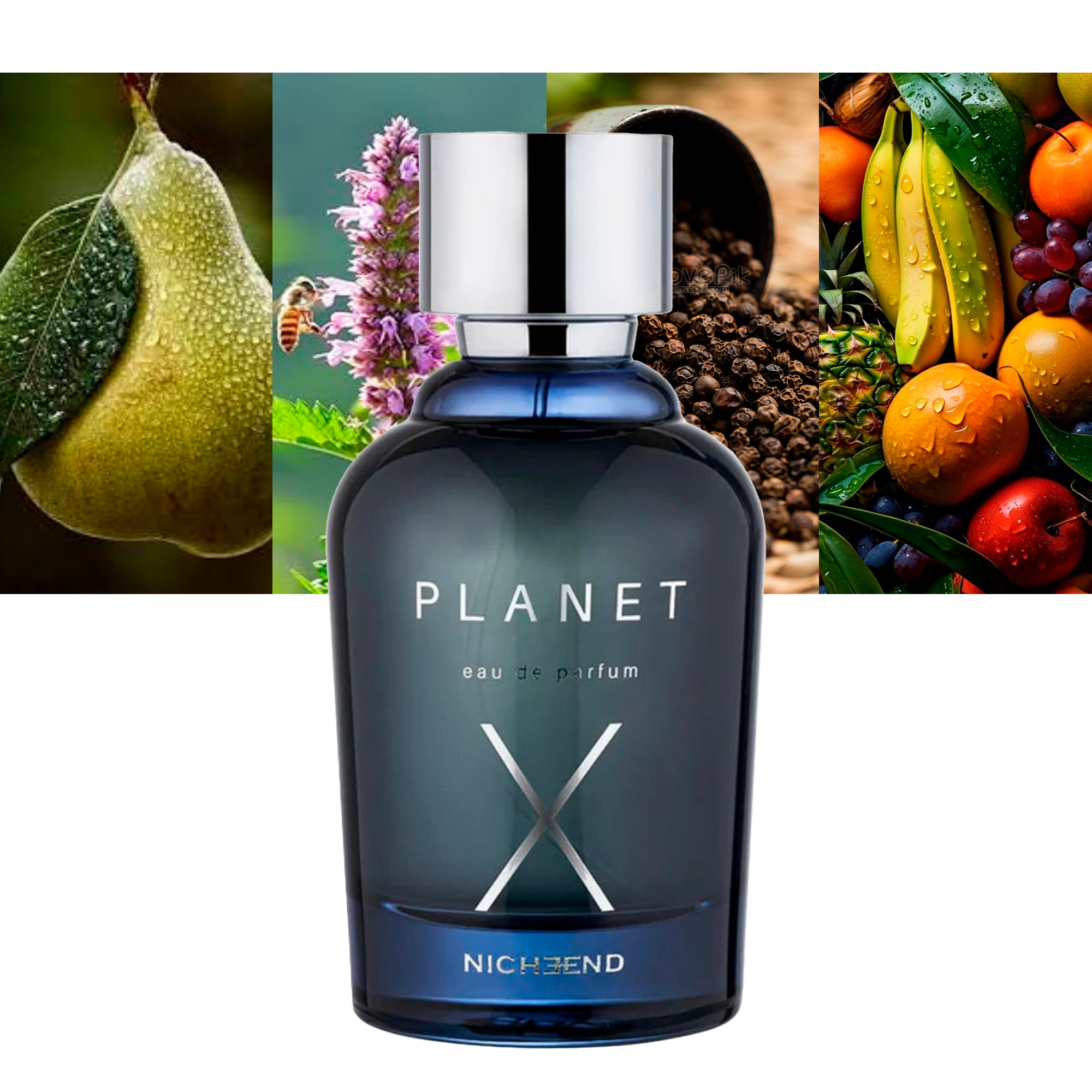 Nicheend Planet X