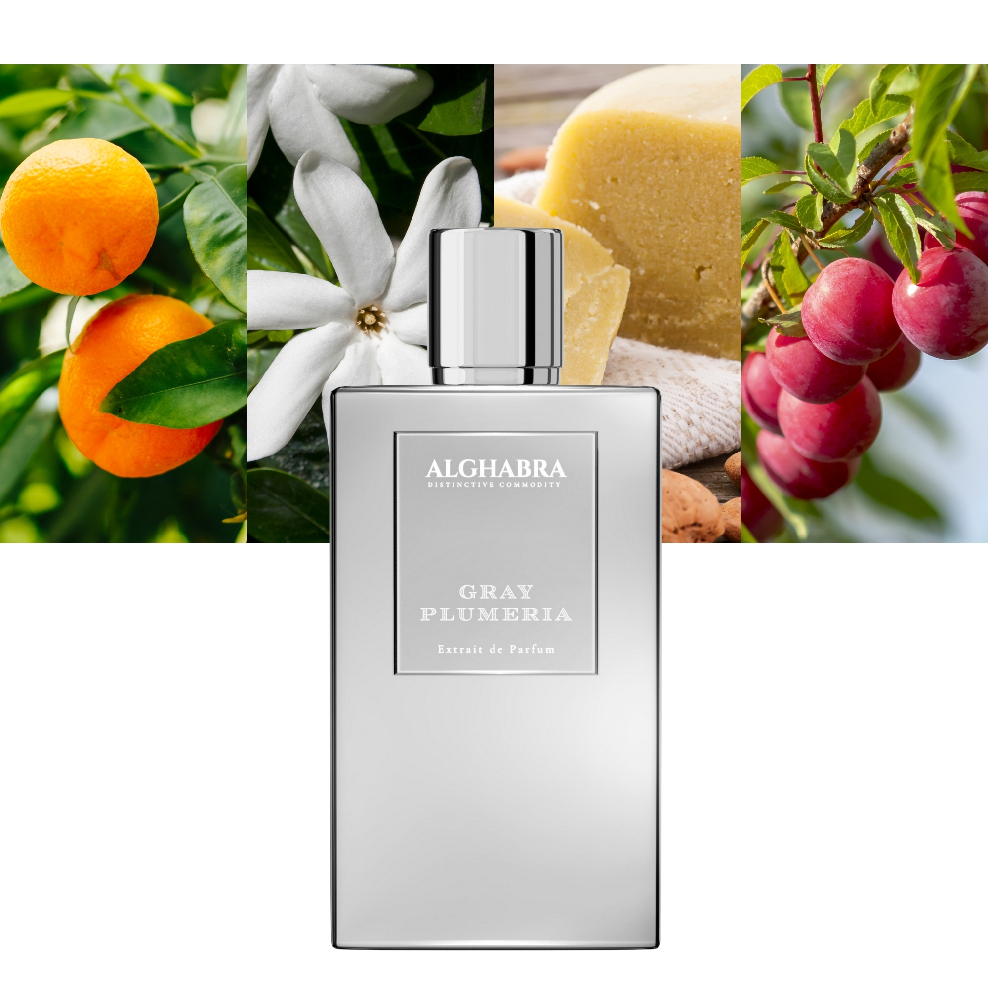 Alghabra Parfums Gray Plumeria