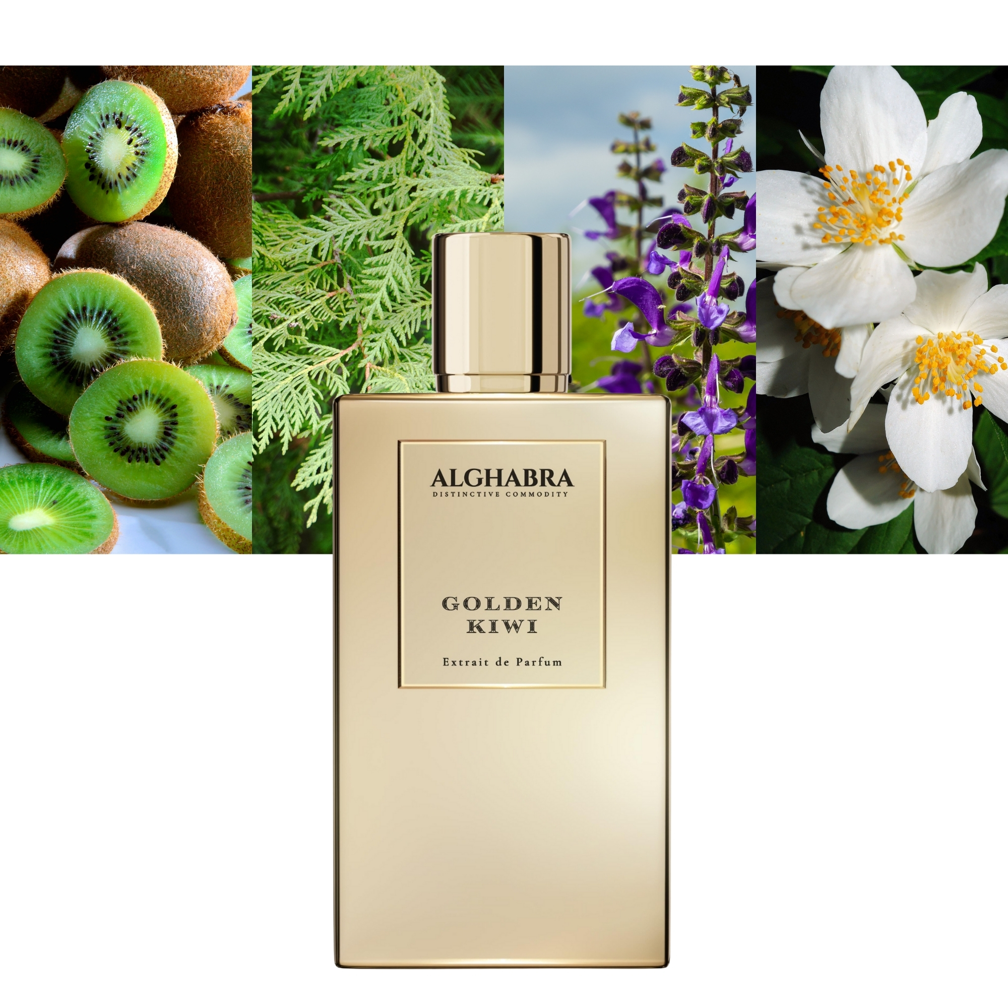 Alghabra Parfums Golden Kiwi