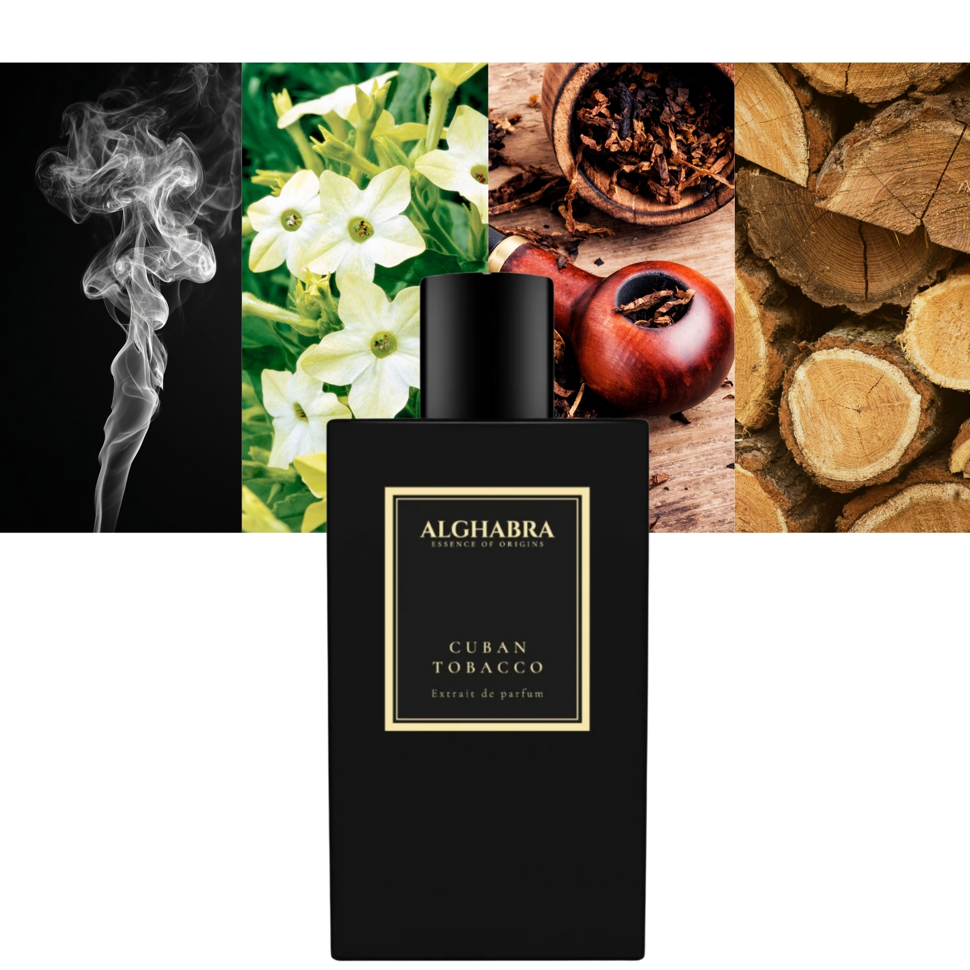 Unisex Cuban Tobacco
