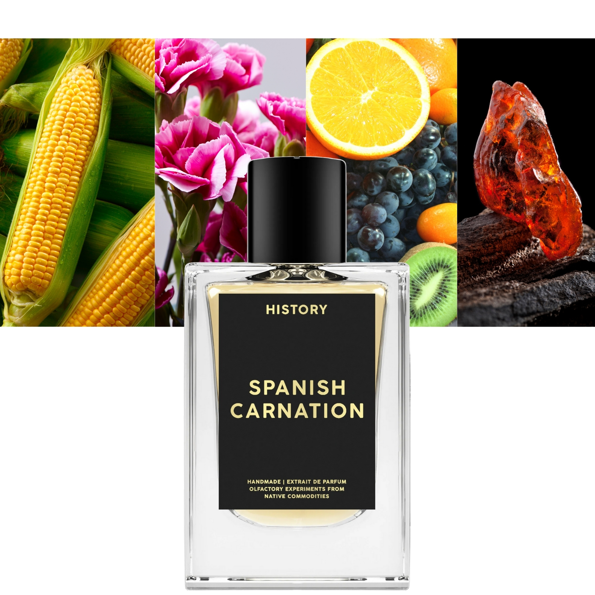 Spanish Carnation