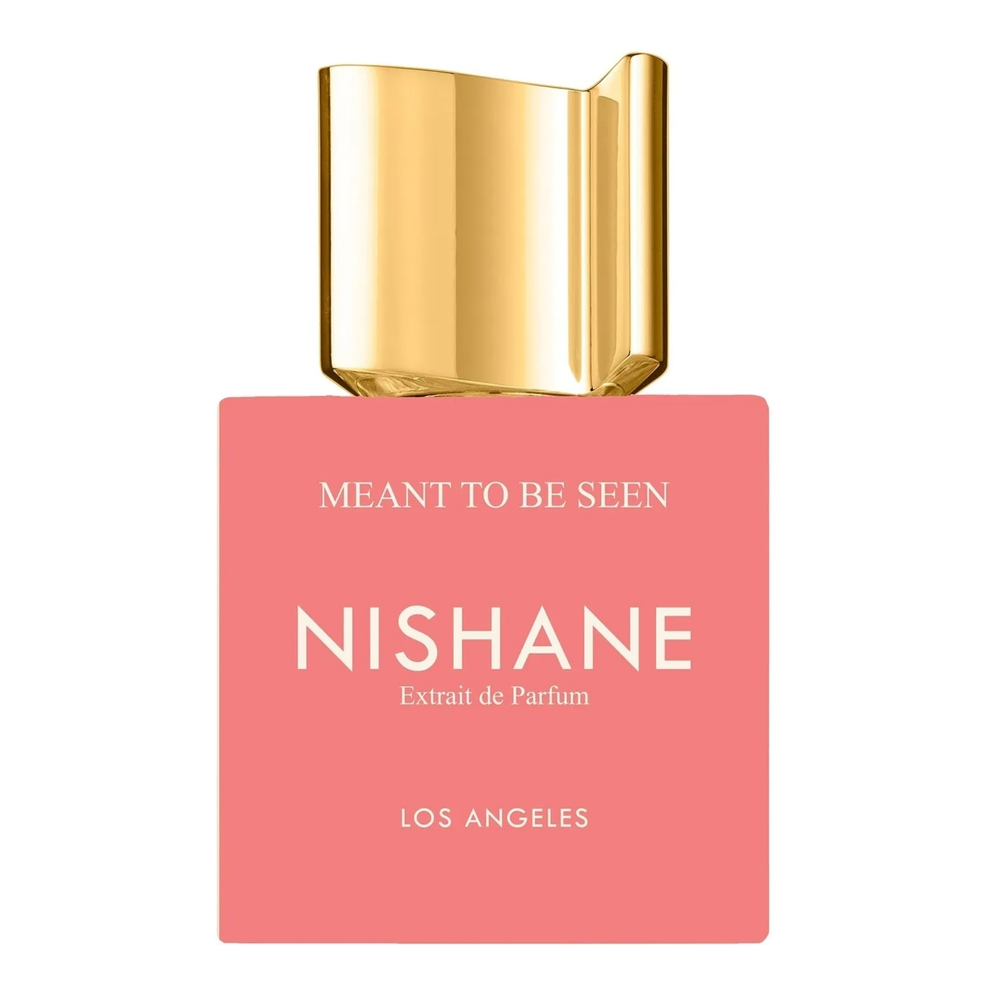Nishane Meant to Be Seen Extrait de Parfum Unisex 17 Oz 280$