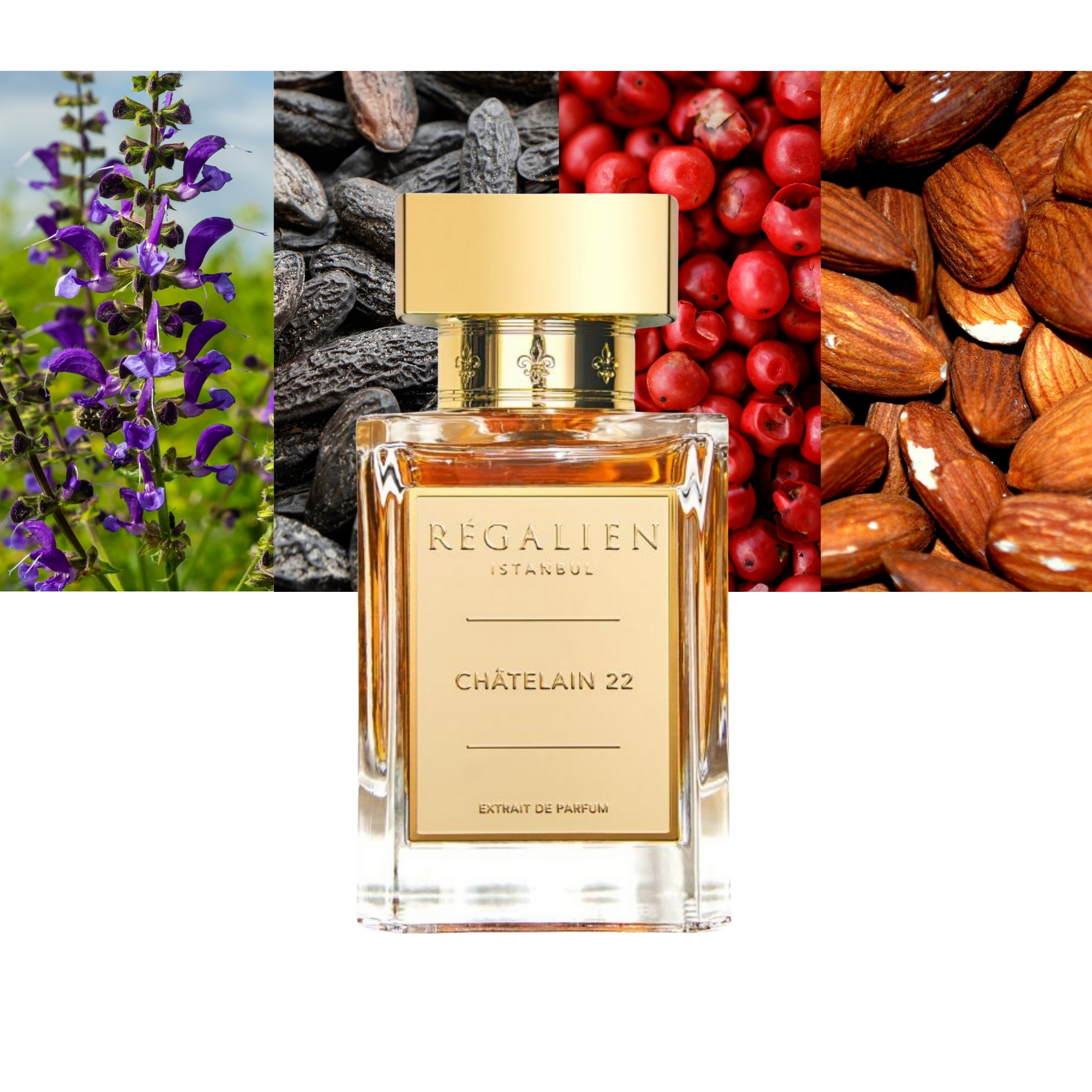 Regalien Chatelain 22