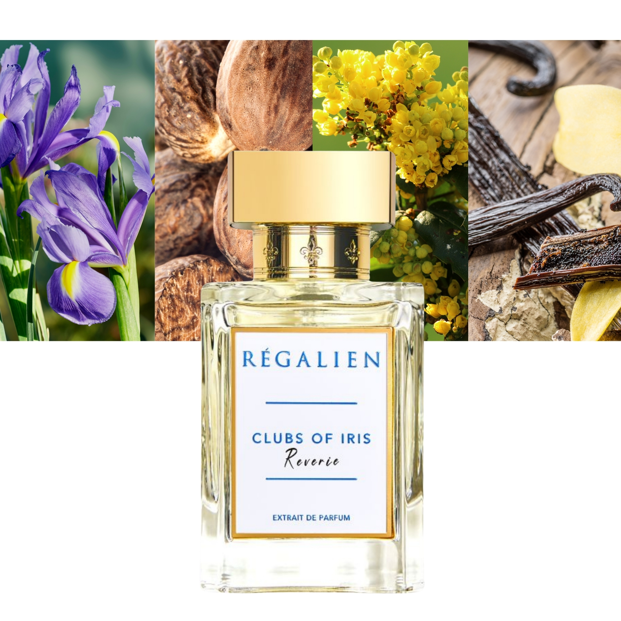 Regalien Clubs of Iris Reverie