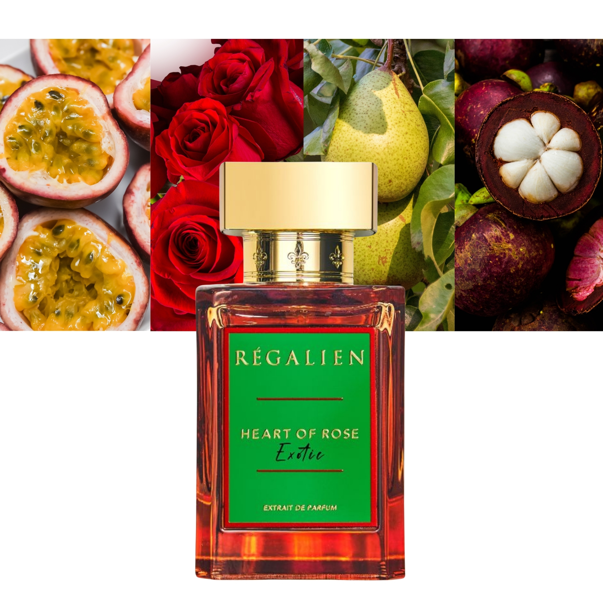 Regalien Heart of Rose Exotic