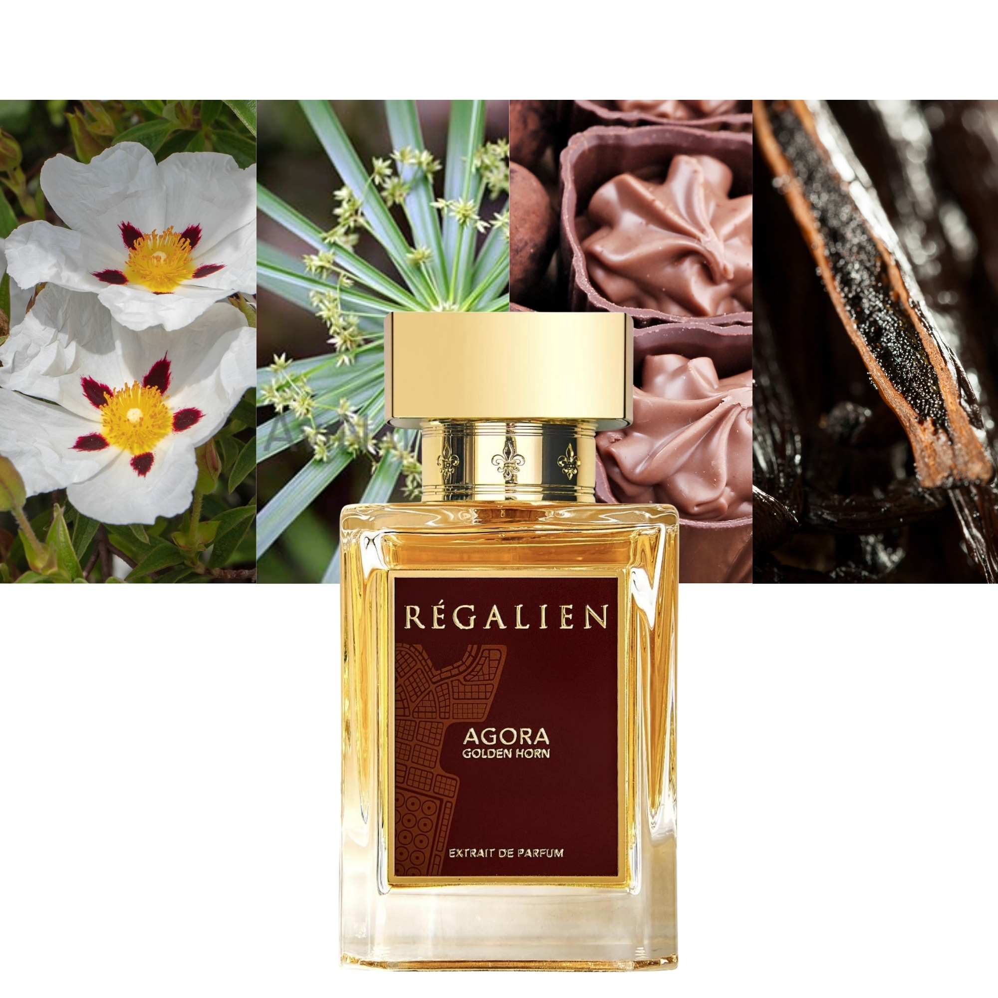 Regalien Agora Golden Horn