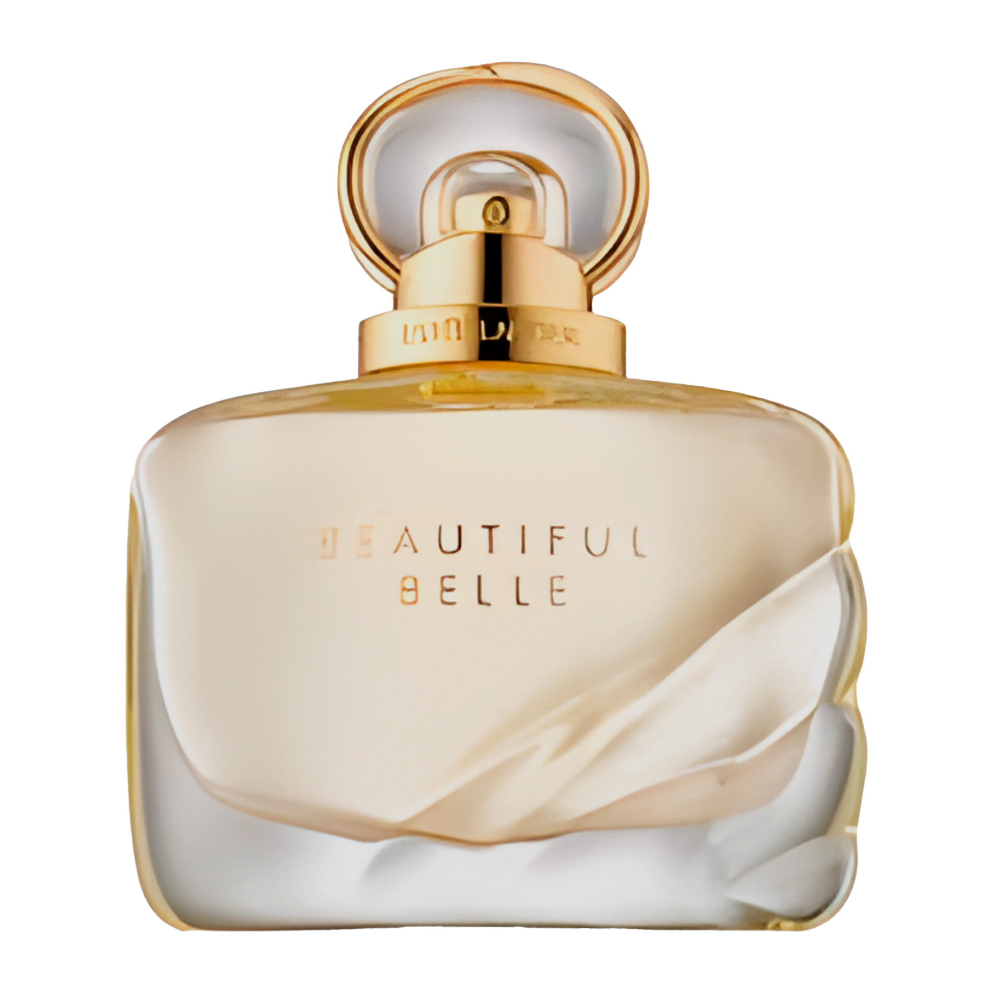 Beautiful Belle