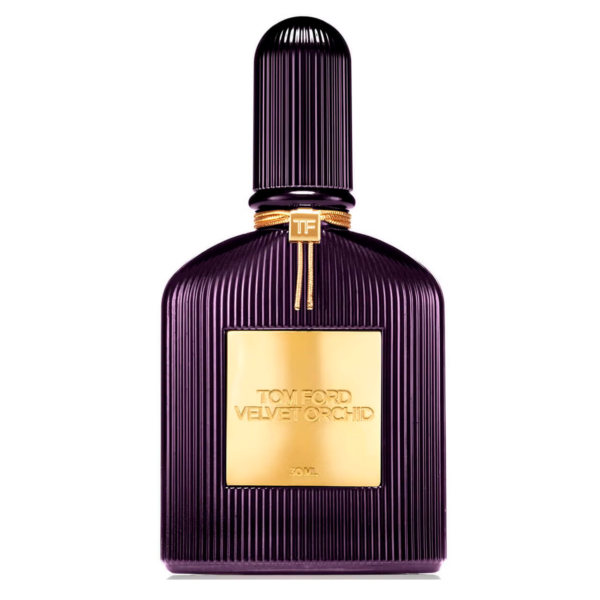 Velvet Orchid