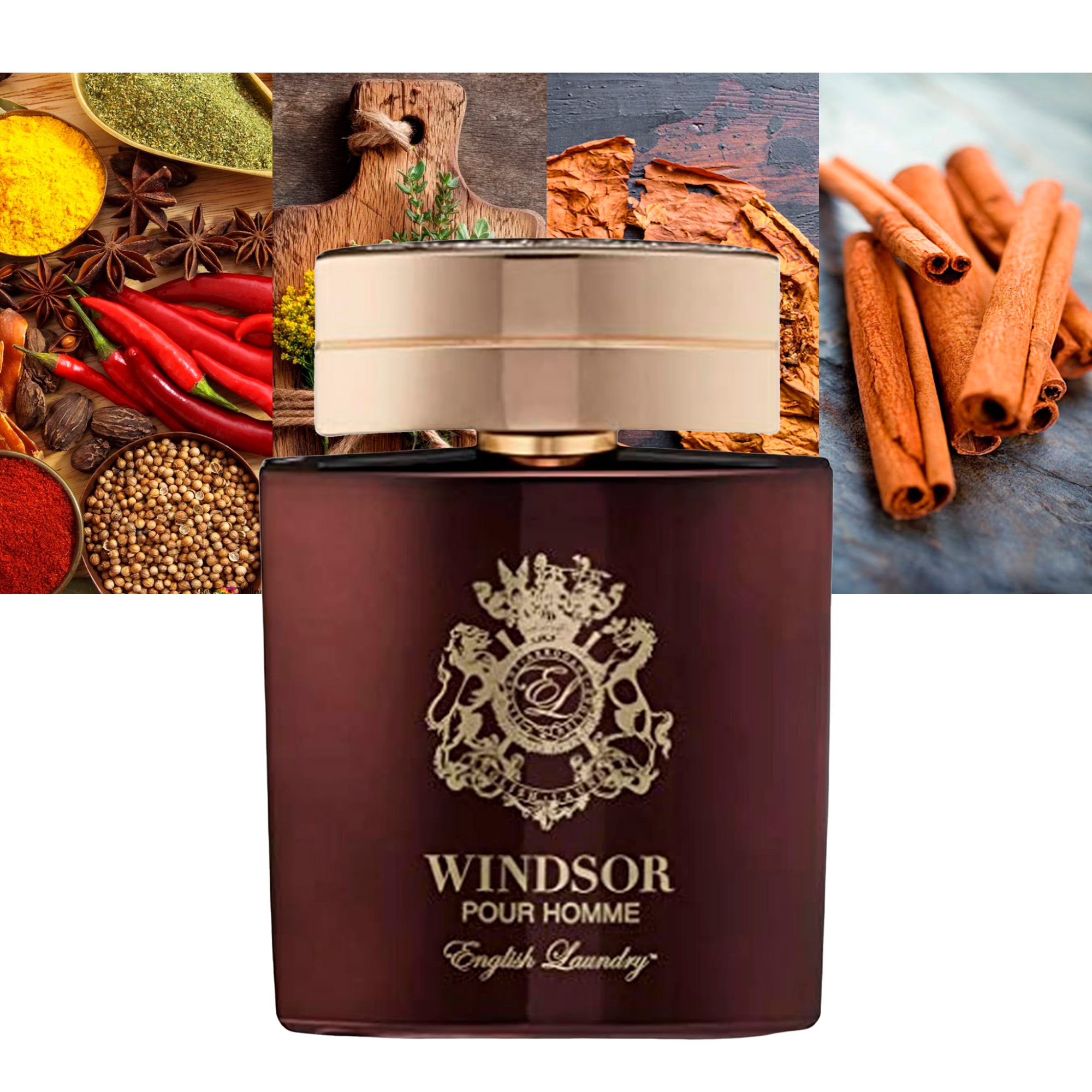 Windsor