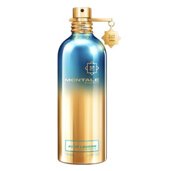 aoud montale maxaroma